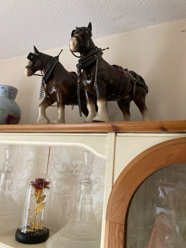 Clydesdale horses with
