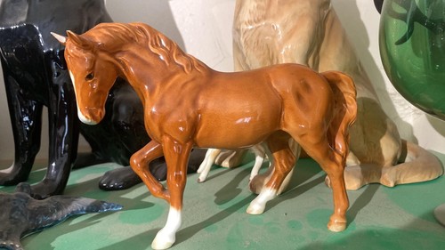 Rare beswick chestnut stocky - ,