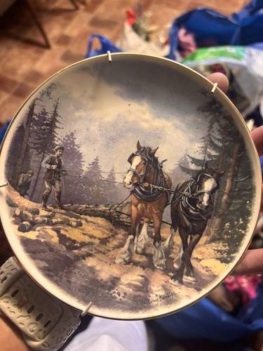 Bone china decorative plate - bone,